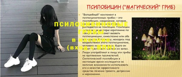 СК Баксан